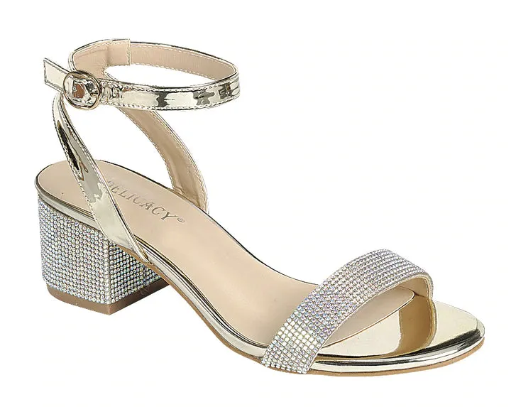 Forever Natalie-22 Women Open Toe Ankle Strap Low Chunky Block Heel Party/Dressy Sandals