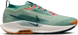 Nike Pegasus Trail 5 GORE-TEX Men's Waterproof Trail Running Shoes